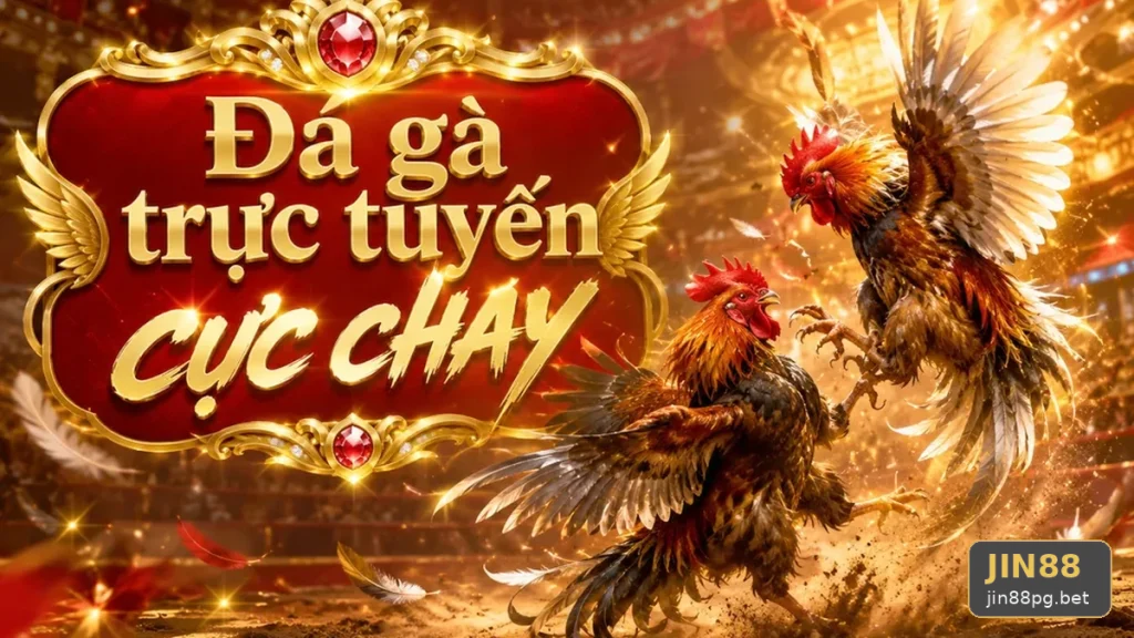 Đá Gà Trực Tuyến Và Quản Lý Phiên Chơi Tại JIN88: Xây Dựng Danh Sách Kiểm Tra Bảo Mật Từ Góc Nhìn Dữ Liệu Trên jin88pg.bet